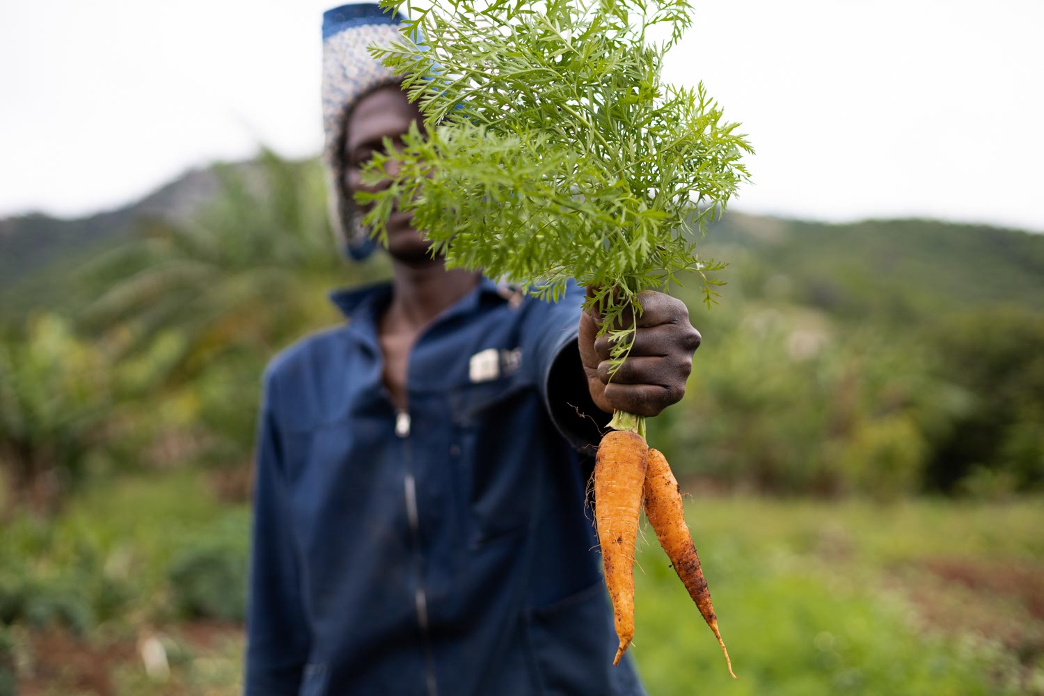 We train farmers using permaculture methods. 