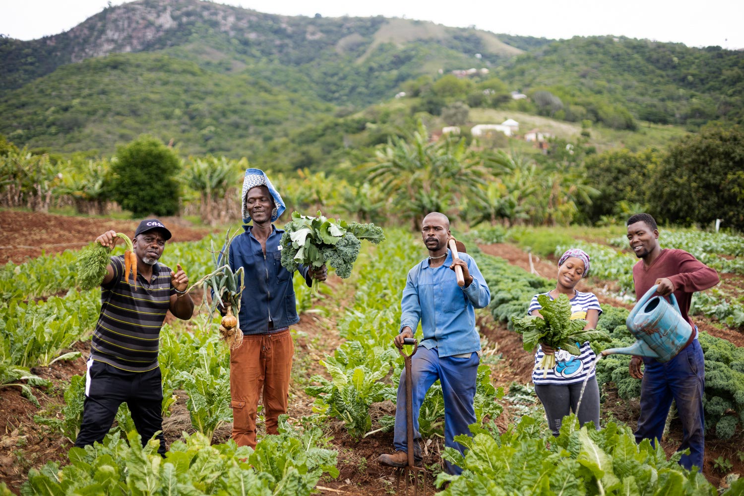 2nd year farmers in KZN.