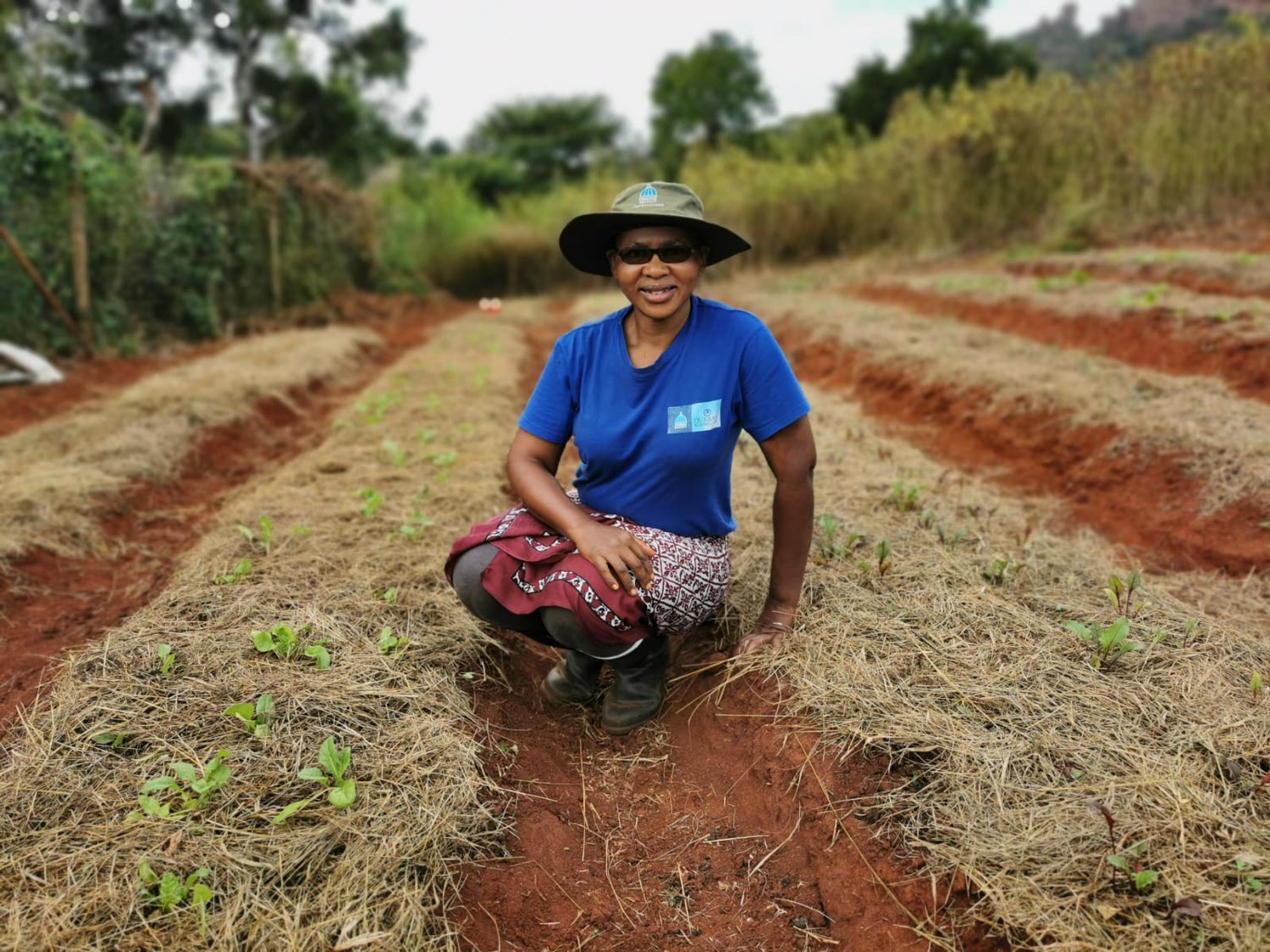 We train farmers using permaculture methods. 