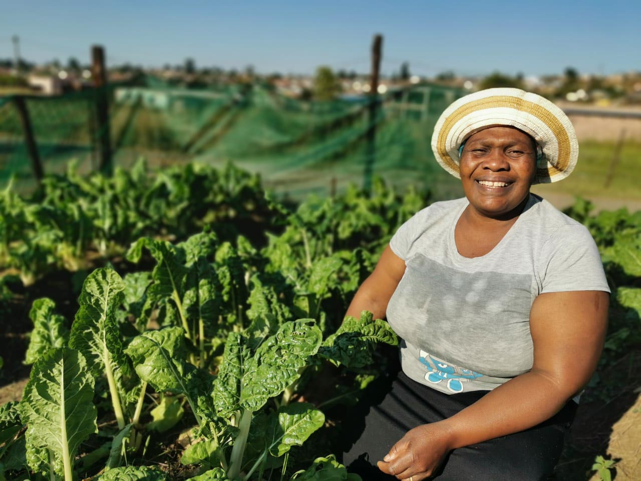 Pietermaritzburg farmer in year one of the programme