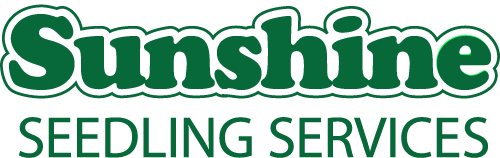 Sunshine Seedlings